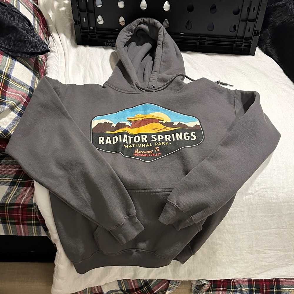 Radiator Springs Gray Hoodie